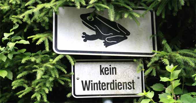 fotos, fotografie, bilder, fantasie, photografphie