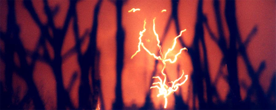 fotos, fotografie, bilder, fantasie, photografphie, natur