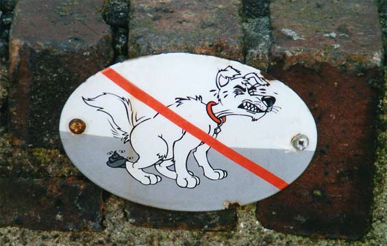 fotos, flora, fauna, bilder, fotografie, bilder, fantasie, photografphie