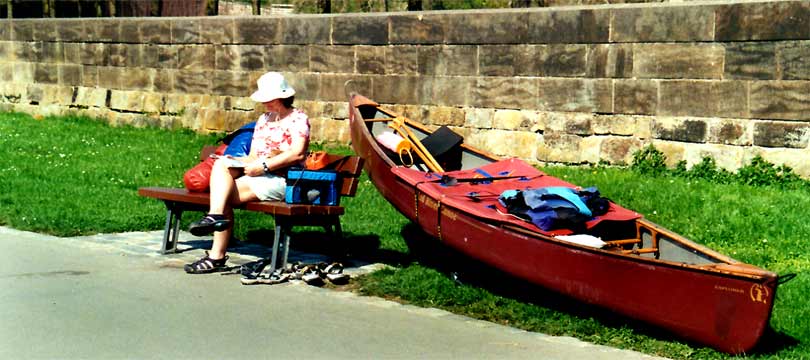 fotos, natur, flora, fauna, camping, elbe, dresden, sommer, urlaub