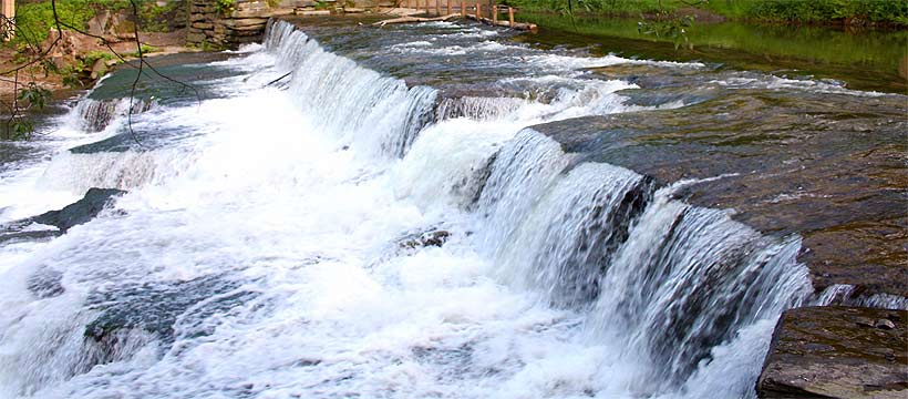 camping, bad blankenburg, die schwarza, fotos, flora, fauna, sommer, natur