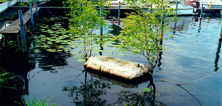 camping, havel, fotos, berlin, natur, urlaub, erholung