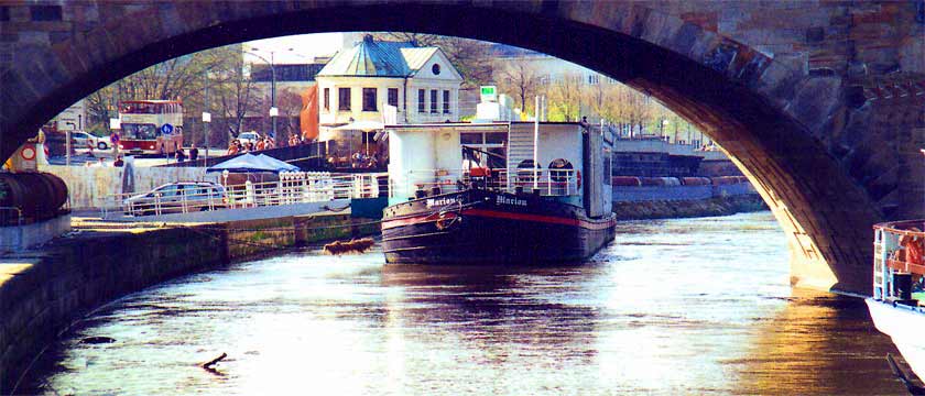 camping, dresden, elbe, kanufahrten, fotos, natur, flora, fauna, camping, freizeit