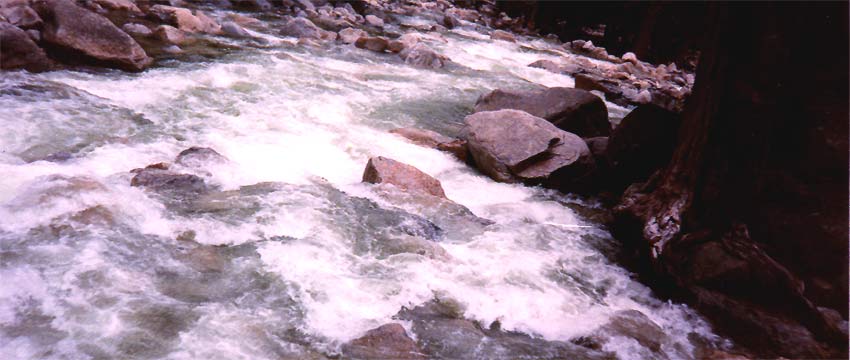 fotos, flora, fauna, natur, fluesse, naturfotos