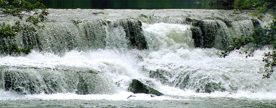 bad blankenburg, die schwarza, natur, fotos, fluesse, flora, fauna, fotografie, axel dorr