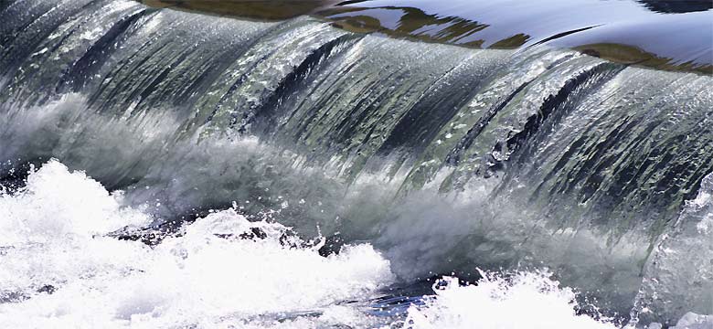 fotos, flora, fauna, natur, camping, bad blankenburg, die schwarza