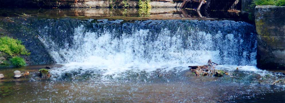 flora, fauna, fotos, natur, fotografie, fluesse, ilm, bad berka, camping, urlaub