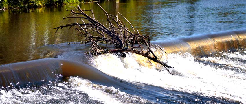 fotos, havel, camping, berlin, kanufahrten, natur, sommer, urlaub, fotografie