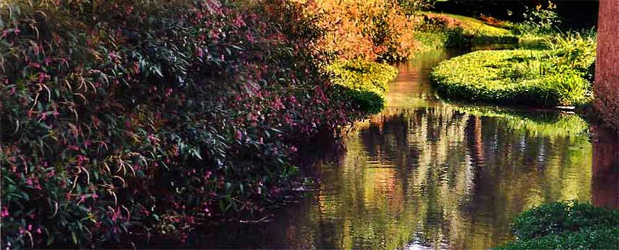 fotos, flora, fauna, sommer, sonne, natur, besinnung, fluesse, fotografie