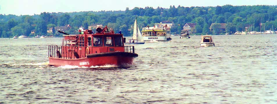 fotos, havel, urlaub, berlin, kanufahrten, sommer, camping, natur, flora, fauna