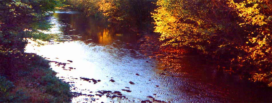 fotos, fluesse, erfurt, thueringen, fotografie, flora, fauna, natur