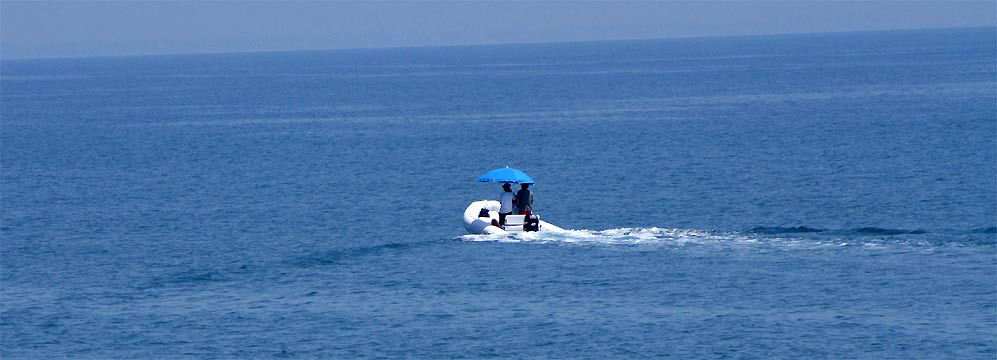 fotos, flora, fauna, meer