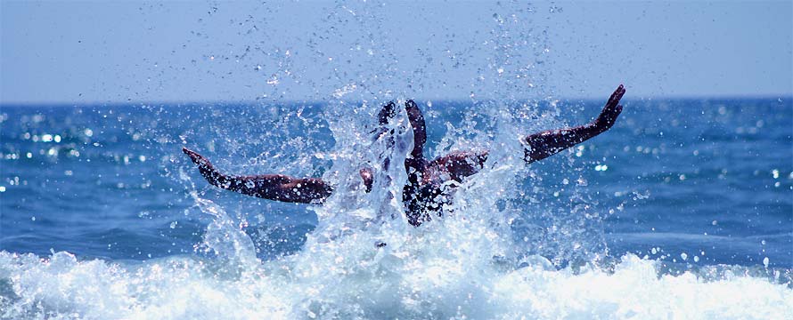 fotos, strand, meer, wellen, mittelmeer, camping, toskana, sommer, fotografie, toscana, naturcamping, urlaub, italien, natur, naturfotos, landschaft, bilder, axel dorr