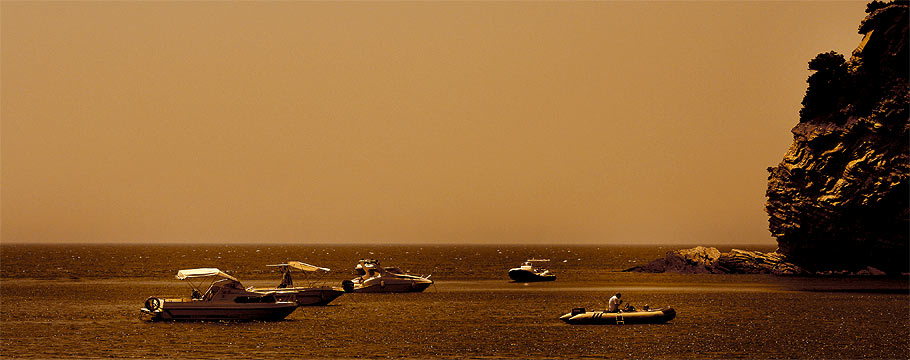 sommer, sonne, mittelmeer, camping, toscana, fotos, natur, flora, fauna, italien