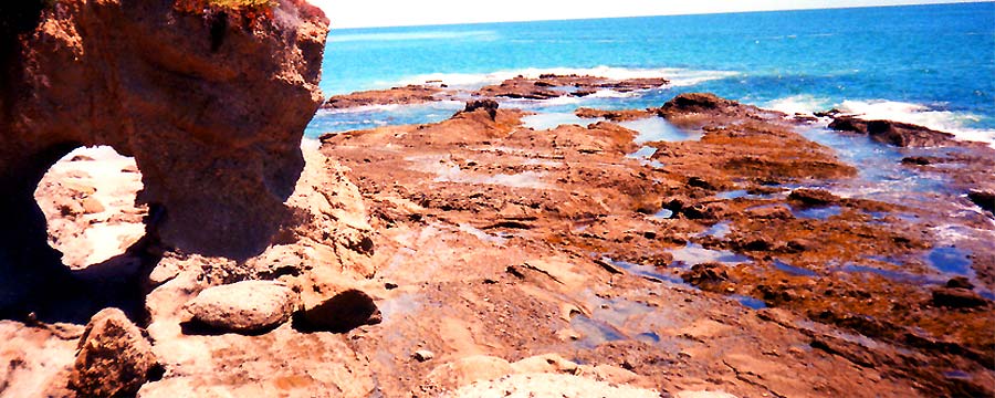 natur, camping, fotos, italien, sommer, sonne, meer, strand, urlaub