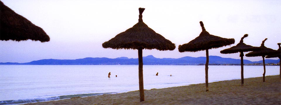 natur, fotos, toscana, naturcamping, italien, bilder, flora, fauna, meer