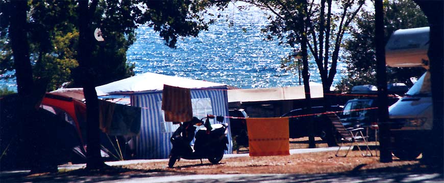 natur, camping, urlaub, kroatien, fotos, flora, fauna, mittelmeer