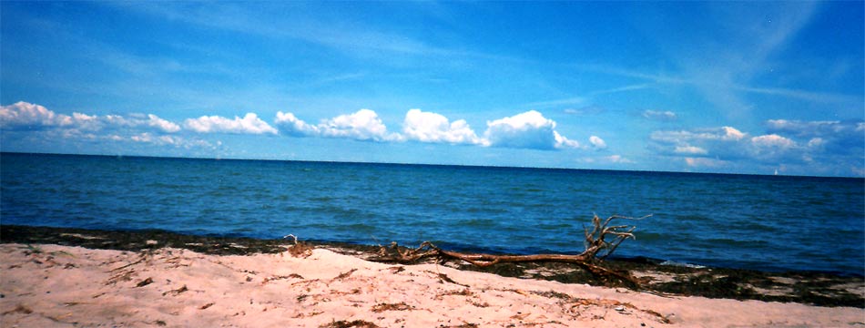  fotos, ostsee, sommer, sonne, strand, wismar, camping, insel poehl, natur, flora, fauna