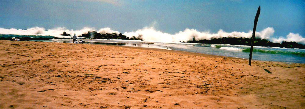 fotos, strand, sommer, sonne, natur, mittelmeer, toskana, camping, italien