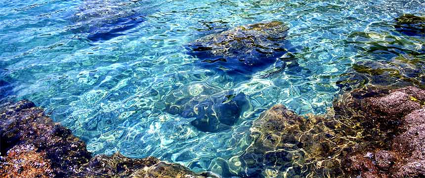 natur, camping, toskana, castiglione della pescaia, italien, fotos, flora, fauna, fotografie, mittelmeer