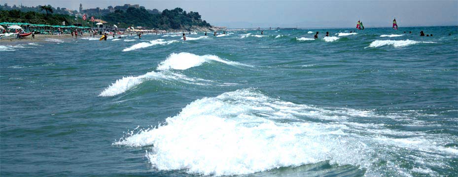 fotos, flora, fauna, italien, camping, urlaub, mittelmeer, fotografie, natur, toscana, strand, toskana, sommer, sonne, strand, naturcamping