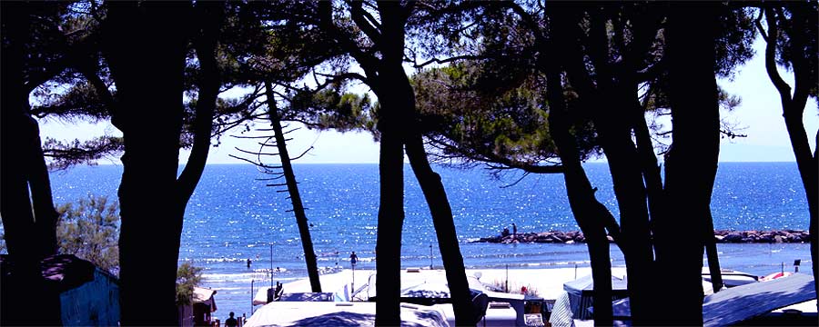 fotos, flora, fauna, mittelmeer, natur, fotografie, italien, camping, toskana, sommer, sonne, meer, strand, naturcamping, toscana, natur, flora, fauna