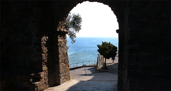 fotos, natur, flora, fauna, italien, sommer, sonne, mittelmeer