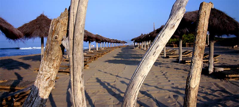 fotos, strand, morgenstimmung, mittelmeer, toskana, urlaub, italien, camping, entspannung, fotografie, flora, fauna, natur, sommer, sonne, meer, naturfotos, toscana, landschaft, bilder, axel dorr