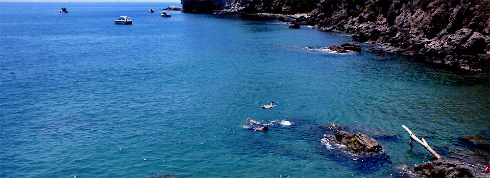 fotos, mittelmeer, flora, fauna, fotografie, natur, camping, urlaub, italien, castiglione della pescaia