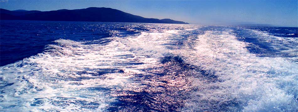 fotos, sommer, sonne, mittelmeer, italien, toscana, natur, camping