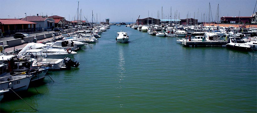 fotos, natur, camping, sommer, sonne, mittelmeer, flora, fauna, toscana