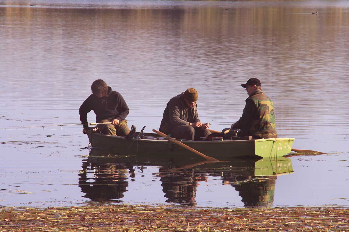 fotos, menschen, lebensfreude, menschen, bilder