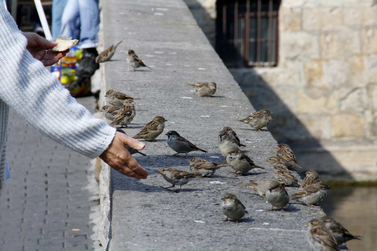 fotos, menschen, bilder, menschen
