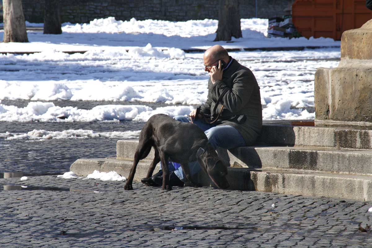 fotos, menschen, bilder, menschen, lebensfreude, marktplatz, domplatz, erfurt, altstadt