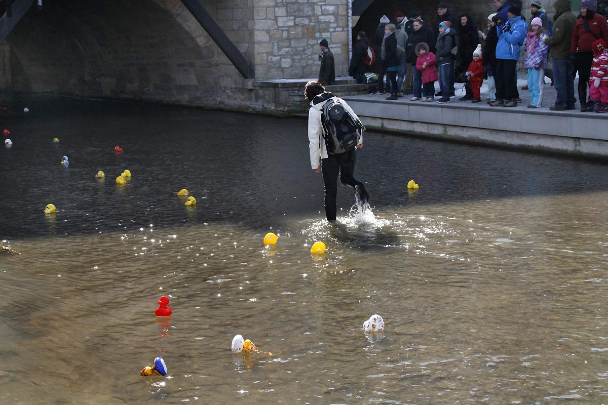 fotos, menschen, bilder, menschen, lebensfreude, erfurter, entenrennen, erfurt