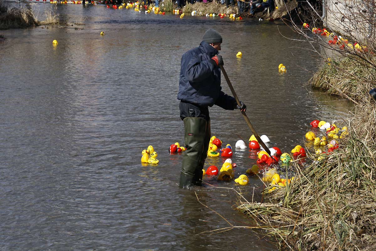 fotos, menschen, bilder, menschen, lebensfreude, erfurter, entenrennen, erfurt