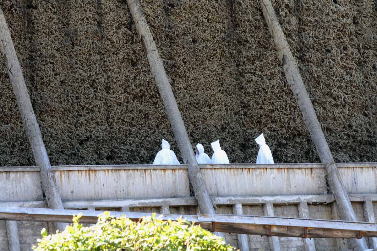 fotos, menschen, bilder, menschen