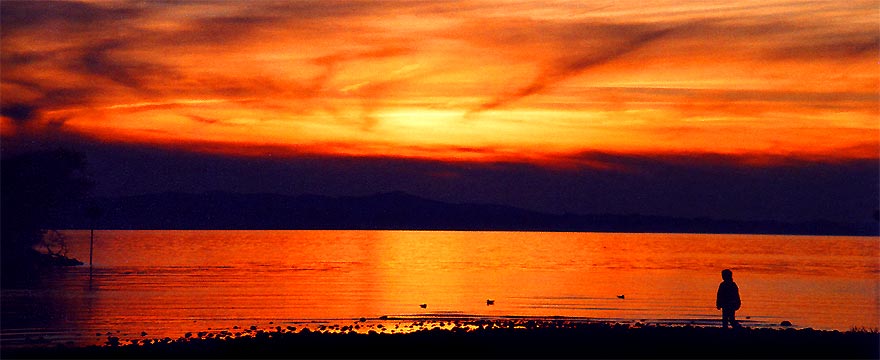 fotos, natur, flora, fauna, fotografie, lanfschaft, bilder, camping, fotographie, blumen, landschaft, fotografie, entspannung, camping, urlaub, sommer, sonne, bodensee, landschaftsfotos, axel dorr