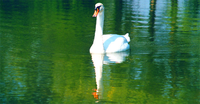 Strandbad, Gera, Aga, Camping