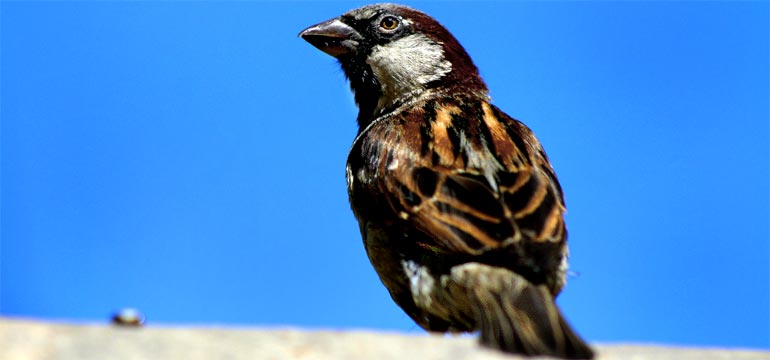 fotos, flora, fauna, natur, camping, oberhof, th&uuml;ringen, campingpl&auml;tze, thueringer wald