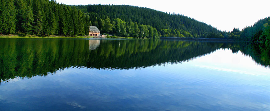 fotos, flora, fauna, natur, th&uuml;ringen, camping, oberhof, luetschestausee, thueringen, fotografie