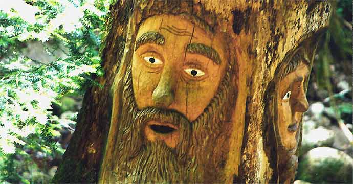 fotos, flora, fauna, natur, camping, bad herrenalb, urlaub