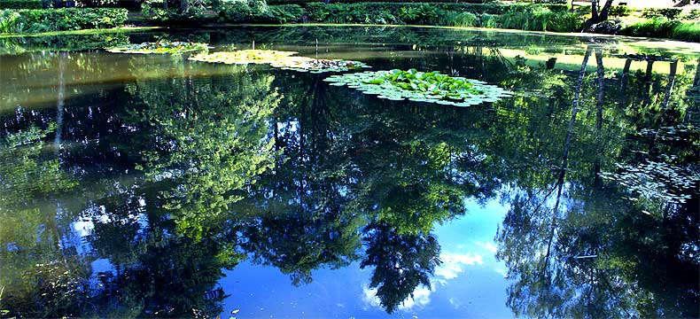 fotos, flora, fauna, natur, camping, mittelmeer, toscana, sommer, sonne, entspannung