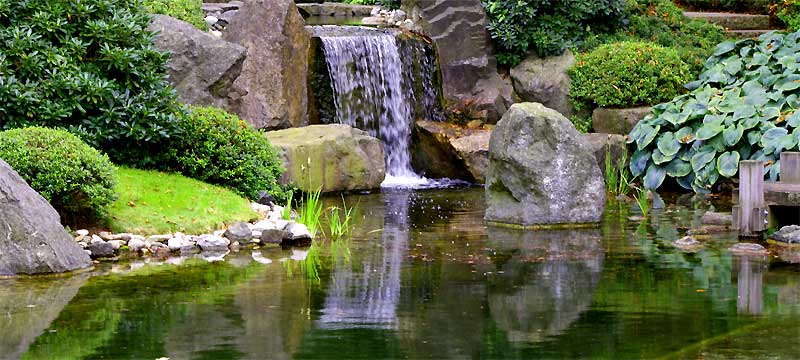 fotos, flora, fauna, natur, fotografie, pflanzen, blumen, landschft, bilder