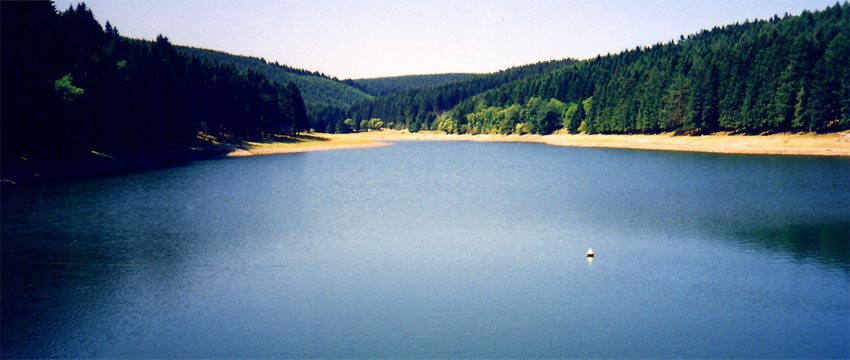 fotos, flora, fauna, natur, th&uuml;ringen, camping, th&uuml;ringer, wald, oberhof, l&uuml;tschestausee, thueringen, fotografie, landschaft, bilder, fr&uuml;hling, sommer, herbst, winter, landschaftsfotos, axel dorr