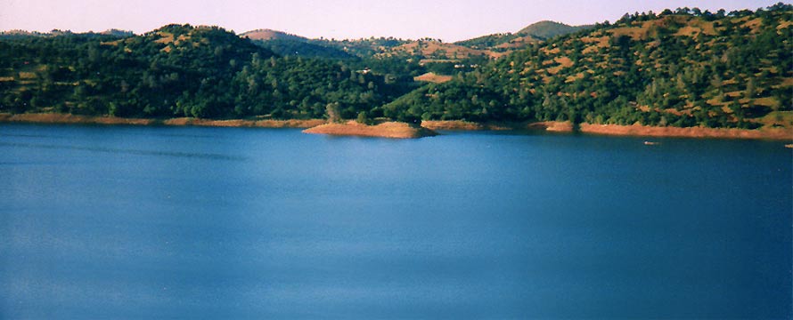 flora, fauna, fotos, natur, sommer, sonne, entspannung, urlaub, camping