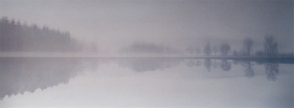 fotos, flora, fauna, natur, fotografie, vier jahreszeiten, fr&uuml;hling, sommer, herbst, winter, camping, th&uuml;ringen, hohenfelden, landschaftsfotos, naturfotografie, naturfotos, bilder, axel dorr