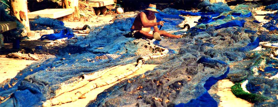 fotos, sommer, sonne, meer, camping, toskana, flora, fauna, natur, urlaub, italien, mittelmeer