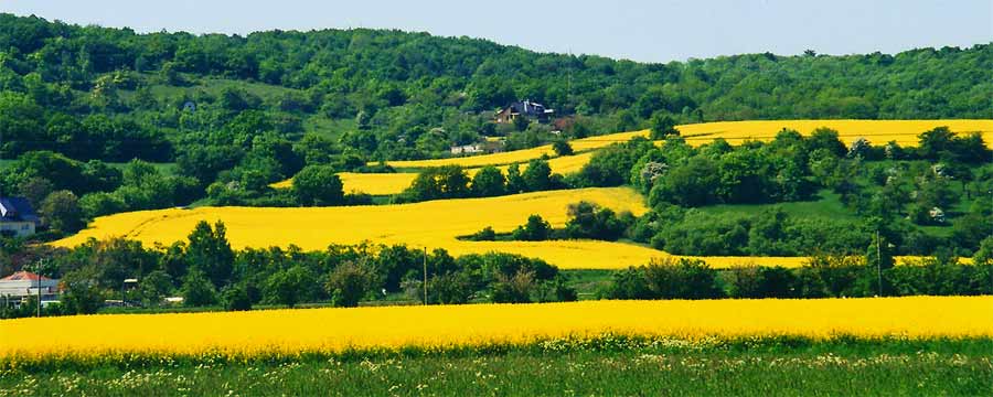 fotos, flora, fauna, natur, naumburg, camping, bluetengrund, saale, unstrut