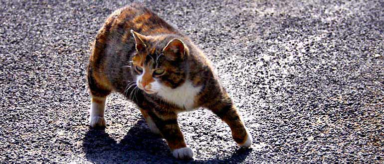 fotos, flora, fauna, natur, fotografie, landschaft, bilder, camping, urlaub, entspannung, lebensfreude